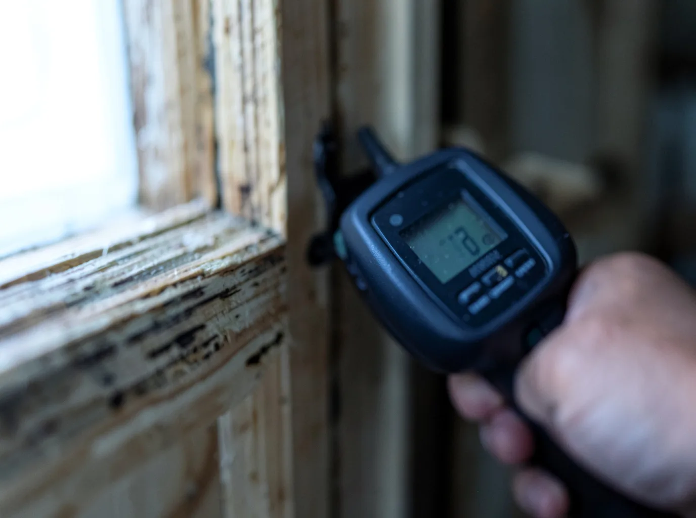Moisture Inspection And Documentation in Ocean City, NJ